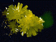 Pyromorphite Broken Hill NSW