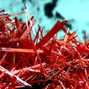 Crocoite, Dundas, Tasmania