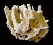 Chabazite, Ben Lomond, NSW