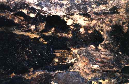 Vugh