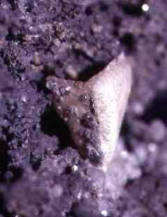 Cerussite, Broken Hill NSW