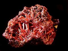 Crocoite, Adelaide Mine Tas