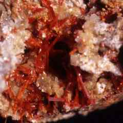 Crocoite, Dundas Extended Mine, Tasmania