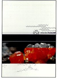 Minerals of Broken Hill